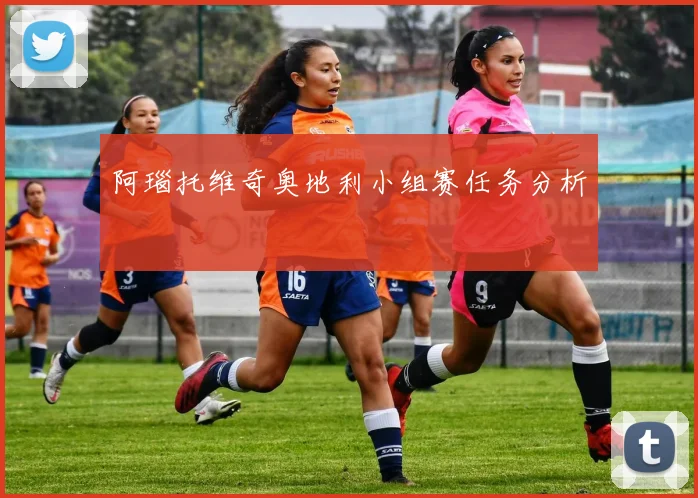 阿瑙托维奇奥地利小组赛任务分析