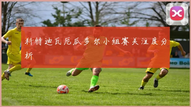 科特迪瓦厄瓜多尔小组赛关注度分析