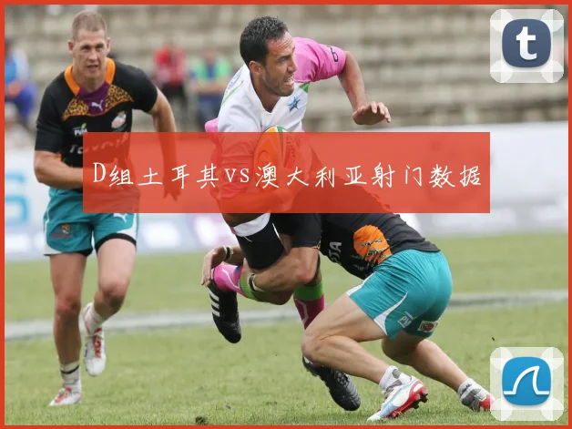 D组土耳其vs澳大利亚射门数据
