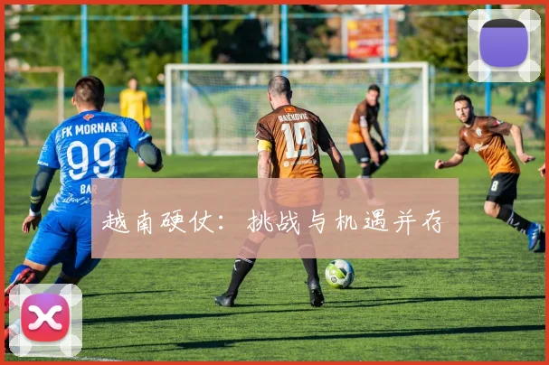越南硬仗：挑战与机遇并存