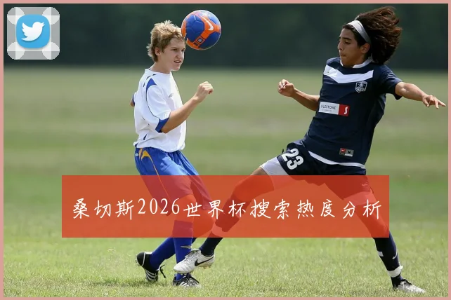 桑切斯2026世界杯搜索热度分析