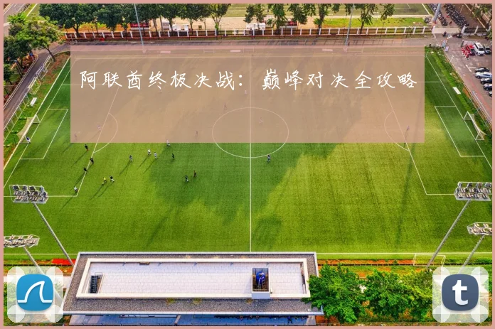 阿联酋终极决战：巅峰对决全攻略