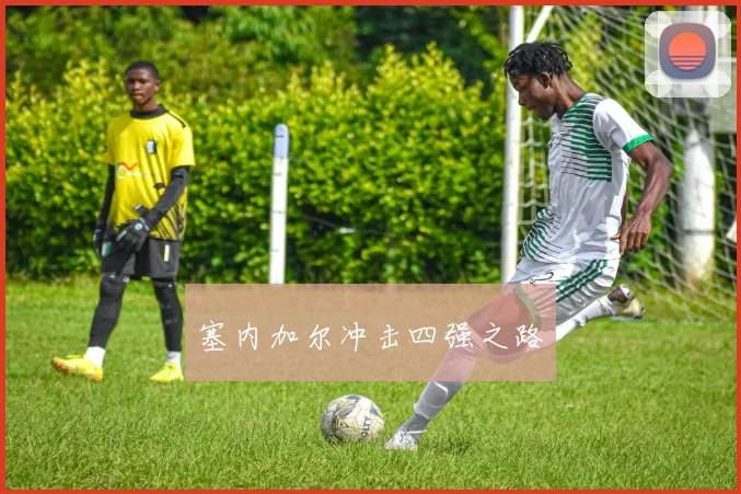 塞内加尔冲击四强之路
