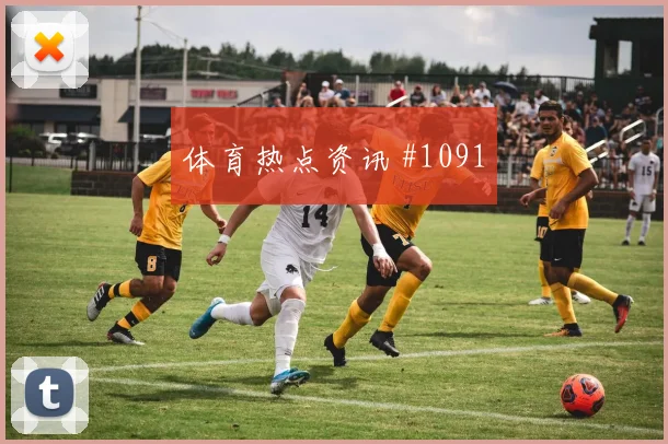 荷兰vs突尼斯2026世界杯传控比例