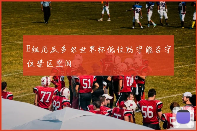 E组厄瓜多尔世界杯低位防守能否守住禁区空间