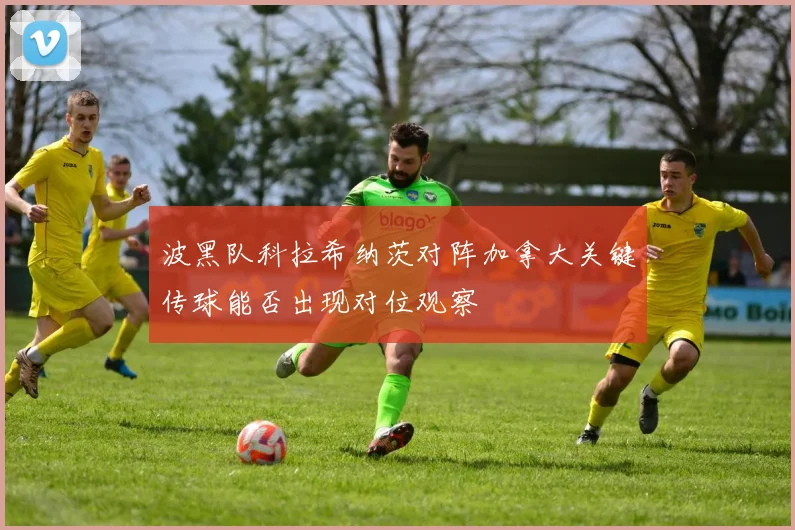 波黑队科拉希纳茨对阵加拿大关键传球能否出现对位观察