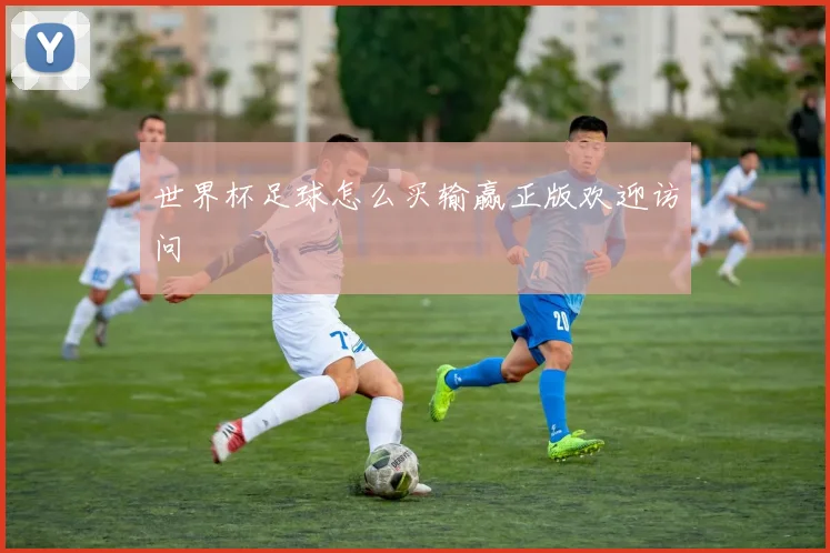 世界杯足球怎么买输赢正版欢迎访问