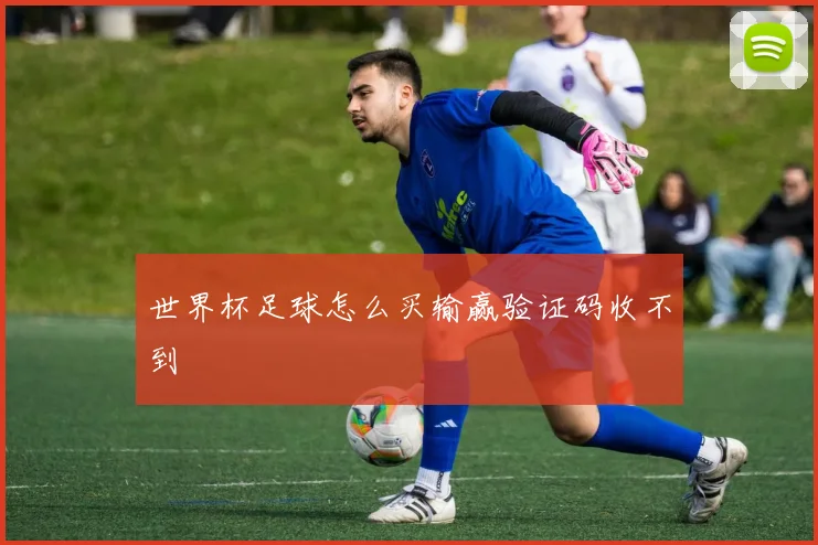 世界杯足球怎么买输赢验证码收不到