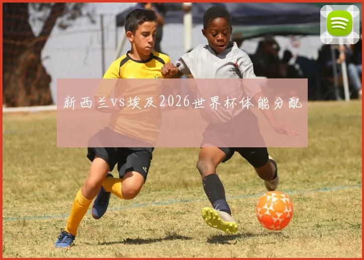新西兰vs埃及2026世界杯体能分配