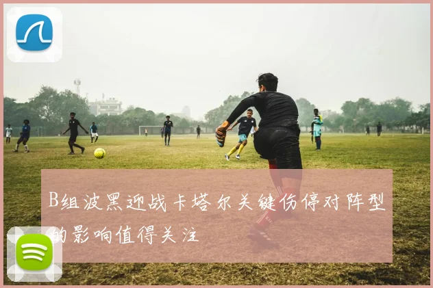 B组波黑迎战卡塔尔关键伤停对阵型的影响值得关注